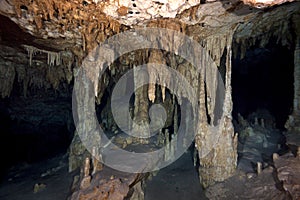 Cave Dive (Cenotes)