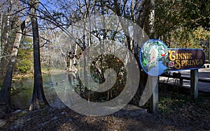 Cave Divers Surfaced - Ginnie Springs