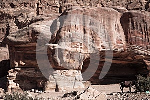 Cave dwellings in Petra Kingdom of Jordan