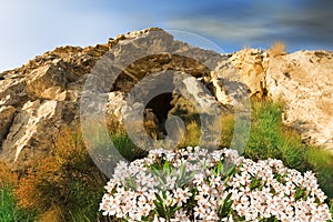 Cave entrance. Nature and landscapes.