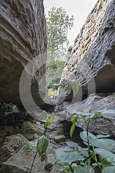 Cave at Eramosa Karst Conservation Area, Ontario 1