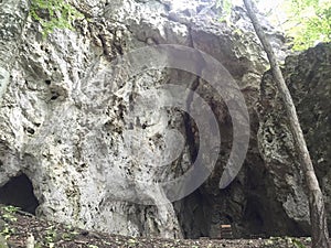 a cave in the forest under the mountain