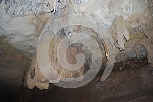 Cave fossils