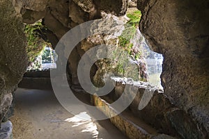 Cave in the Genoves Park, Cadiz, Andalusia, Spain photo