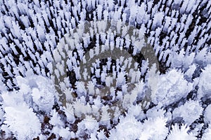 Cave Ice Formations