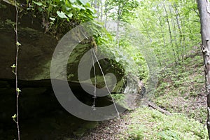 Cave overhang in a dense forest