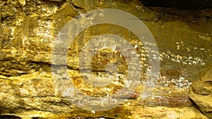 Cave paintings and petroglyphs in Adi Alauti canyon Qohaito Eritrea