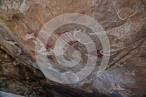 Cave paintings and petroglyphs Laas Geel near Hargeisa Somalia