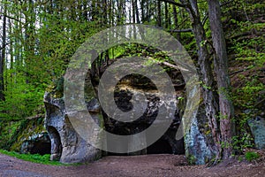 Cave Puste Kostely in Cvikov, Czech Republic