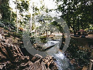 Cave stone near the small stream garden in Perlis, Malaysia