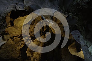 Cave texture stalagmite stalactites background