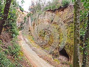 A cave tomb in the wall of a Via Cava, an ancient Etruscan road carved through tufo cliffs in Tuscany