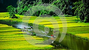 Cave tourist boats in Tam Coc, Ninh Binh, Vietnam