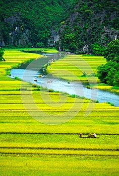 Cave tourist boats in Tam Coc, Ninh Binh, Vietnam