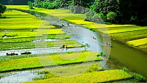 Cave tourist boats in Tam Coc, Ninh Binh, Vietnam