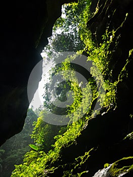 Cave, Vanuatu