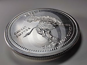 Caveat Emptor Bull and Bear Fine Silver Round - V1 photo