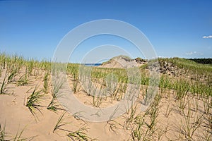 Cavendish Sand Dunes Closeup