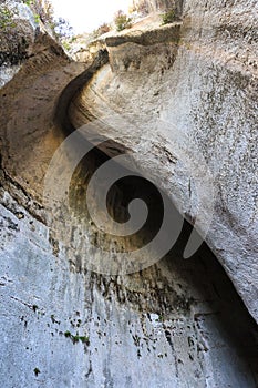 Cavern roof of the cave Ear of Dionysius , natural acoustic miracle in Syracuse