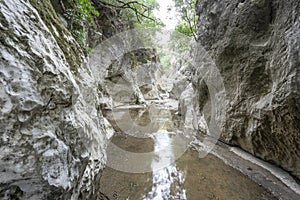 cavernous rock formations in the shape of a gorge belonging to the source of the river Alviela