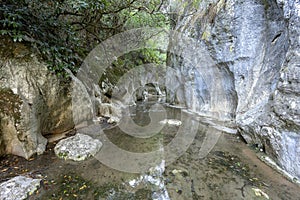 cavernous rock formations in the shape of a gorge belonging to the source of the river Alviela