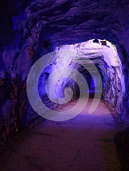 Caves are formed by the dissolution of limestone.Caves are formed by the dissolution of limestone.