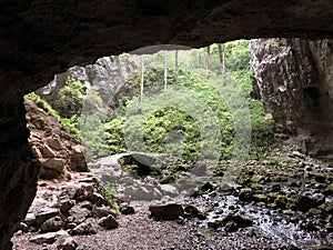 Caves in the limestone rocks of the Rak River canyon, Cerknica - Notranjska Regional Park, Slovenia - Krajinski park photo
