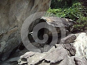Caves  rocks, Guaruja, Sao Paulo, Brazil
