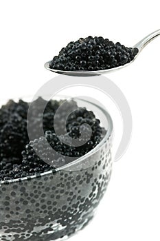 Caviar