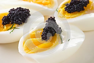 Caviar Eggs