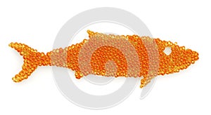 Caviar fish