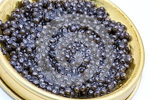 Caviar jar in front of white background