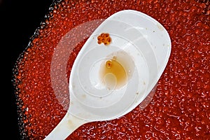 Caviar from Manchuria placed in a bowl