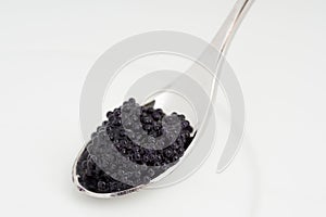 Caviar on a spoon over white plate