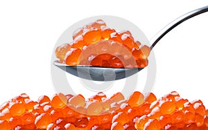 Caviar on a spoon. Salmon Red Caviar. Fish eggs. Raw seafood. Luxury delicacy food. White isolated background. Close up photo. Mac