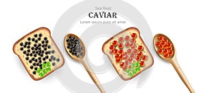 Caviar Vector realistic. Red and black caviar toasts. Top view 3d detailed illustrations