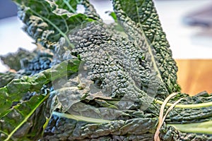 Cavolo Nero