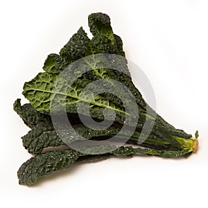 Cavolo Nero an Italian cabbage.