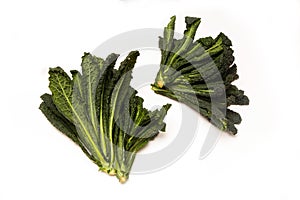 Cavolo Nero an Italian cabbage.