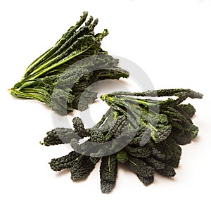 Cavolo Nero an Italian cabbage.