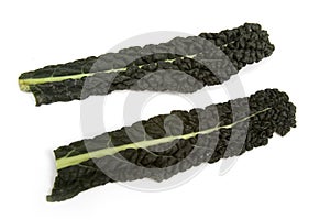 Cavolo Nero or Italian Cabbage