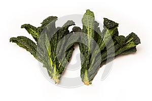 Cavolo Nero an Italian cabbage. photo