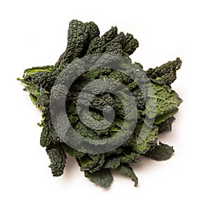 Cavolo Nero an Italian cabbage. photo