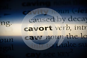 Cavort