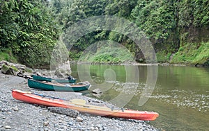 Kayaking Whanganui River