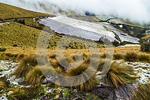 Cayambe-Coca reserve