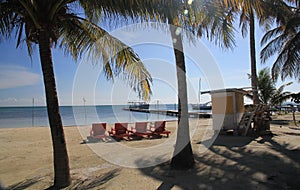 Caye Caulker Belize Beach