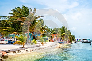 Caye Caulker Colors