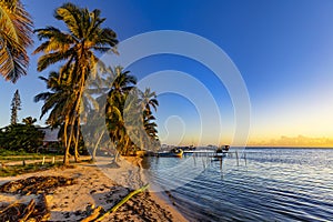 Caye Caulker Island, Belize