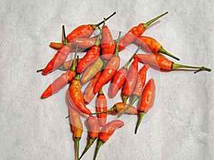 cayenne pepper or Genus Capsicum or Cabe Rawet in Indonesia it is called photo